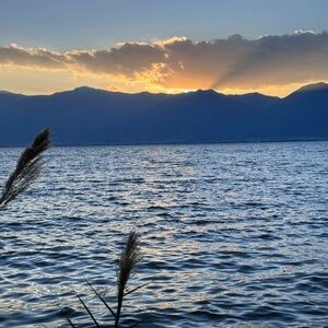 Meet your Posher, Anushka